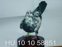HU 10 10 58851