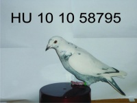 HU 10 10 58795