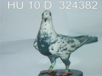 HU D 10 324382